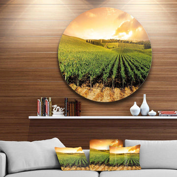 Sunset Vineyard Panorama - Landscape Circle Metal Wall Decor